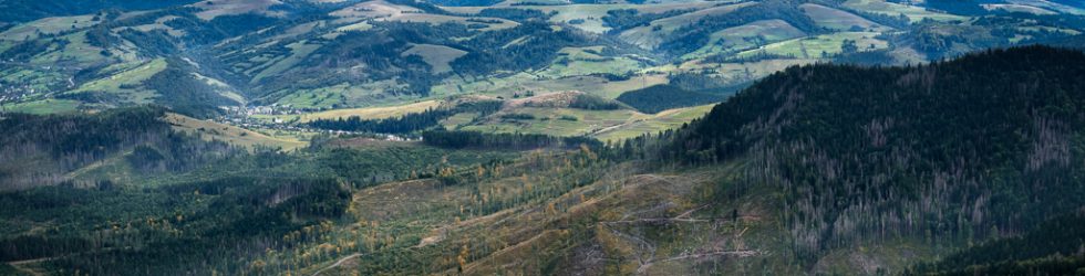 Karpaty wschodnie - fotograf warszawa